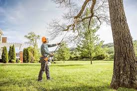 Best Commercial Tree Services  in Lake Morton Berrydale, WA