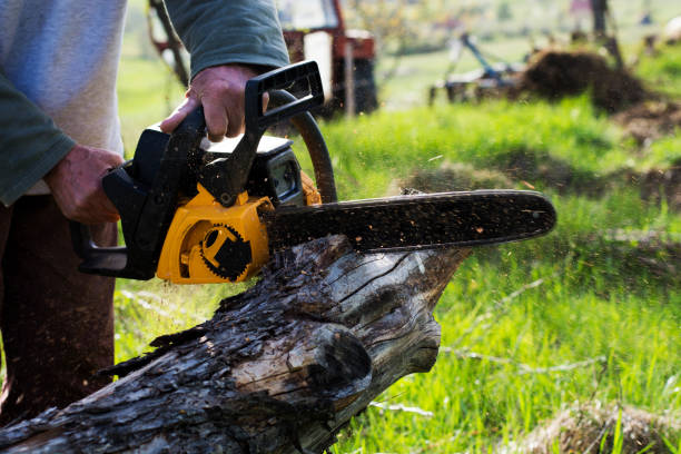 Best Lawn Pest Prevention  in Lake Morton Berrydale, WA